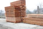 Egle Būvniecības/celtniecības kokmateriāli | Skuju koku koksne | Zāģmateriāli | MP-HOLZ, s.r.o.