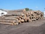 Dižskābardis - Baļķi