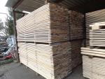 Egle Būvniecības/celtniecības kokmateriāli | Skuju koku koksne | Zāģmateriāli | Pila Blažovice