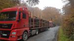 Baļķu vedējs - Transports un kravas pārvadājumi