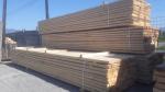 Egle - Zāģmateriāli