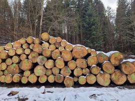 Egle Zāģbaļķi | Skuju koku koksne | Baļķi | ALBA Forrest s.r.o.