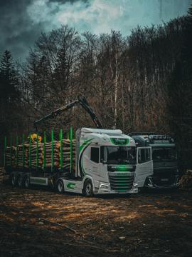 Baļķu vedēja puspiekabe - Transports un kravas pārvadājumi