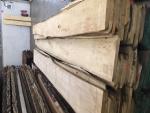 Liepa Galdniecības kokmateriāli |  Cietkoksne | Koksne | JAF HOLZ Slovakia