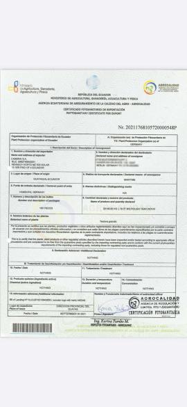 Tīkkoks Galdniecības kokmateriāli |  Tropu koks | Koksne | SOFT IT SP .ZO.O SPÓŁKA Z OGRANICZONĄ ODPO