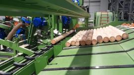 Cits aprīkojums Kompletn výroní Linka kulů . |  Kokzāģētavas iekārtas | Kokapstrādes iekārtas | Drekos Made s.r.o